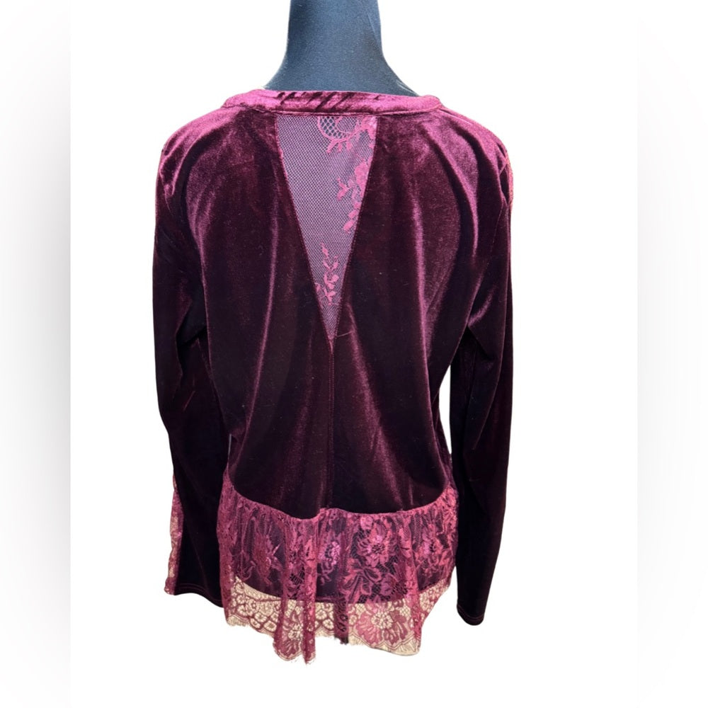 Elegant Velvet Lace Trim Blouse-Multiple Colors